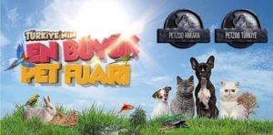 معرض بيتزو للحيوانات الاليفة في اسطنبول